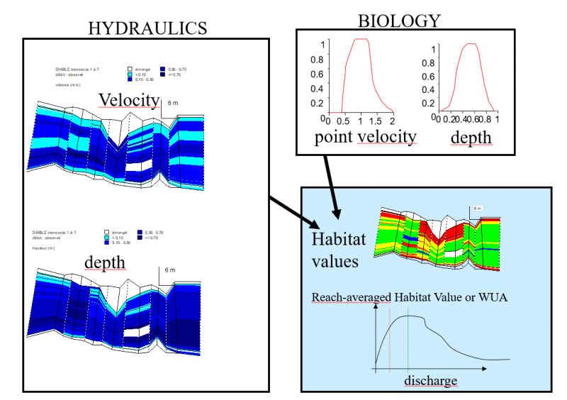 couplage_hyd_bio.png couplage_hyd_bio.png